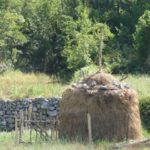 Stockage du foin en meule.