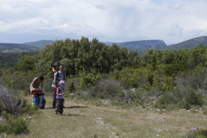 Primevere-2