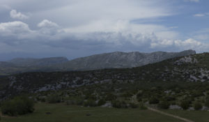 Primevere-8